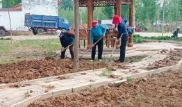 衡水吃瓜最新事件爆料是真的吗,最新爆料真相揭秘