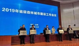 汝州都市爆料最新消息,都市风云再起，揭秘背后惊人真相！