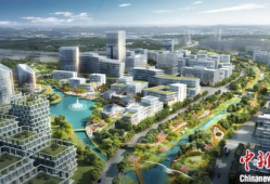 广东顺德最新的爆料,揭秘顺德最新动态与热点事件